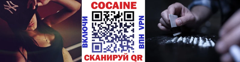 Купить  Нестеров  Cocaine Fish Scale 