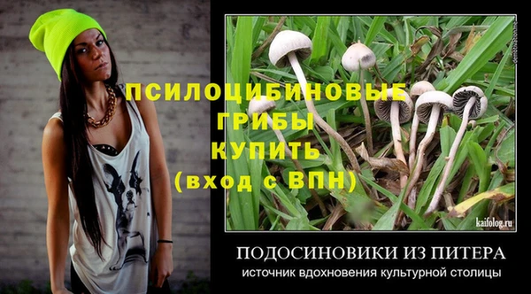 мет Пересвет