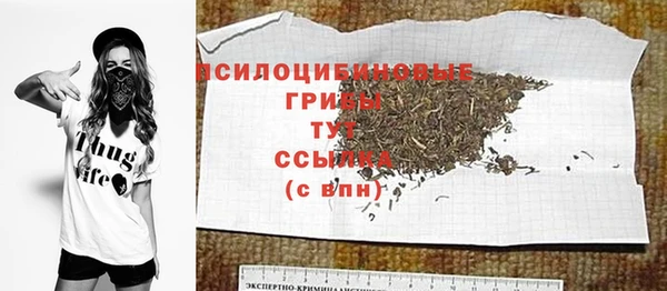 ешки Переславль-Залесский