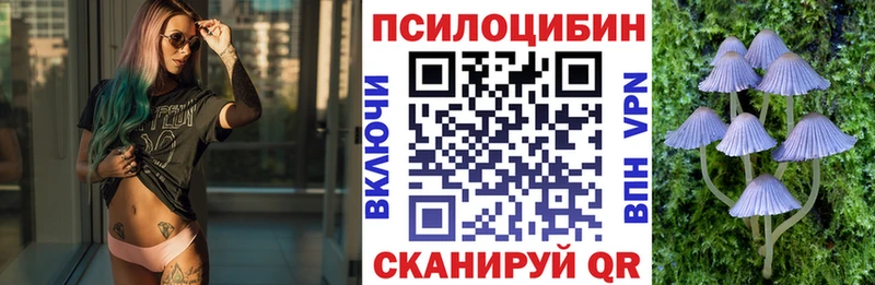 Купить где  Нестеров  Галлюциногенные грибы Psilocybine cubensis 